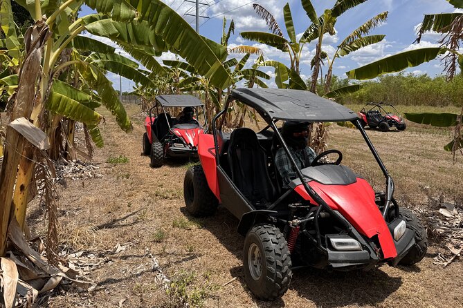 Orlando Dune Buggy Tour - Guides, Safety, and Why People Keep Mentioning the Same Names