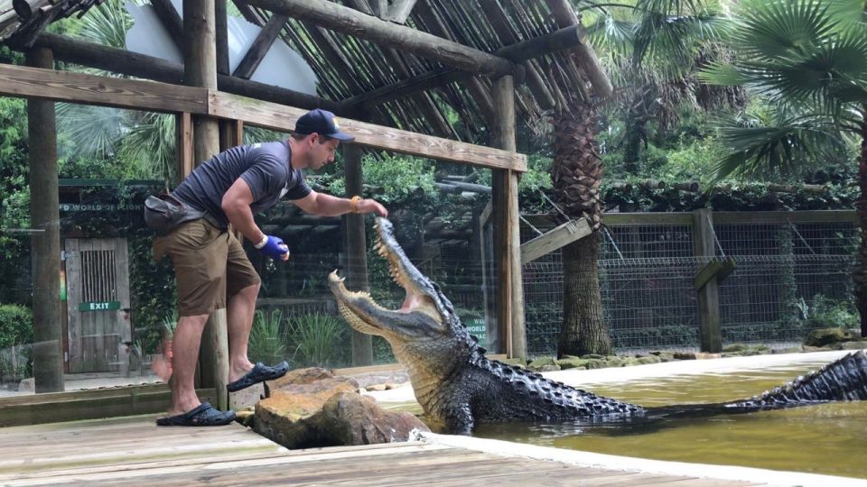 Orlando: Everglades Airboat Ride and Wildlife Park Ticket - Wildlife park admission: what you’ll see after the ride