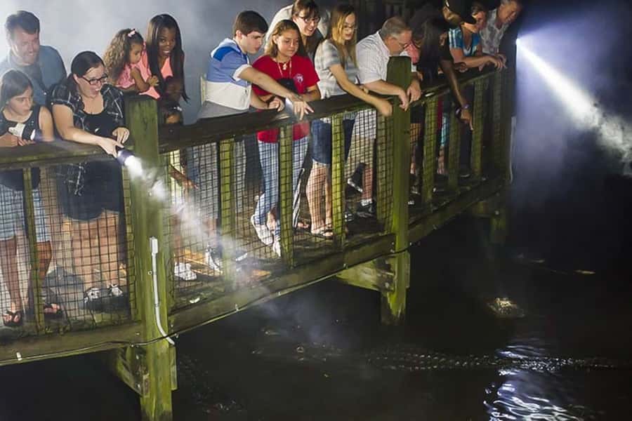 Orlando: Gatorland Flashlight Tour at Night - Key moments you’ll remember