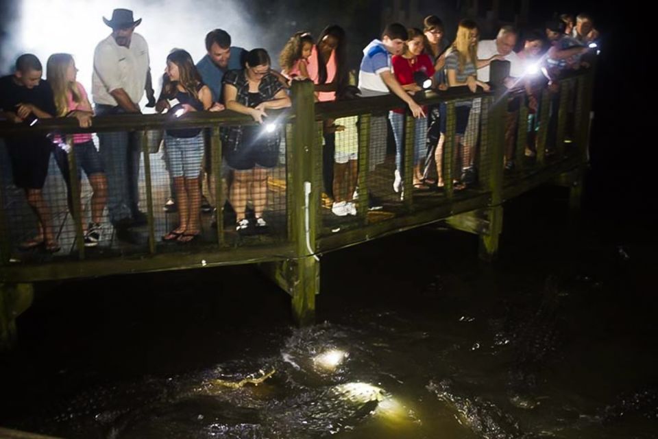 Orlando: Gatorland Flashlight Tour at Night - Should you book the Gatorland Flashlight Tour at Night?