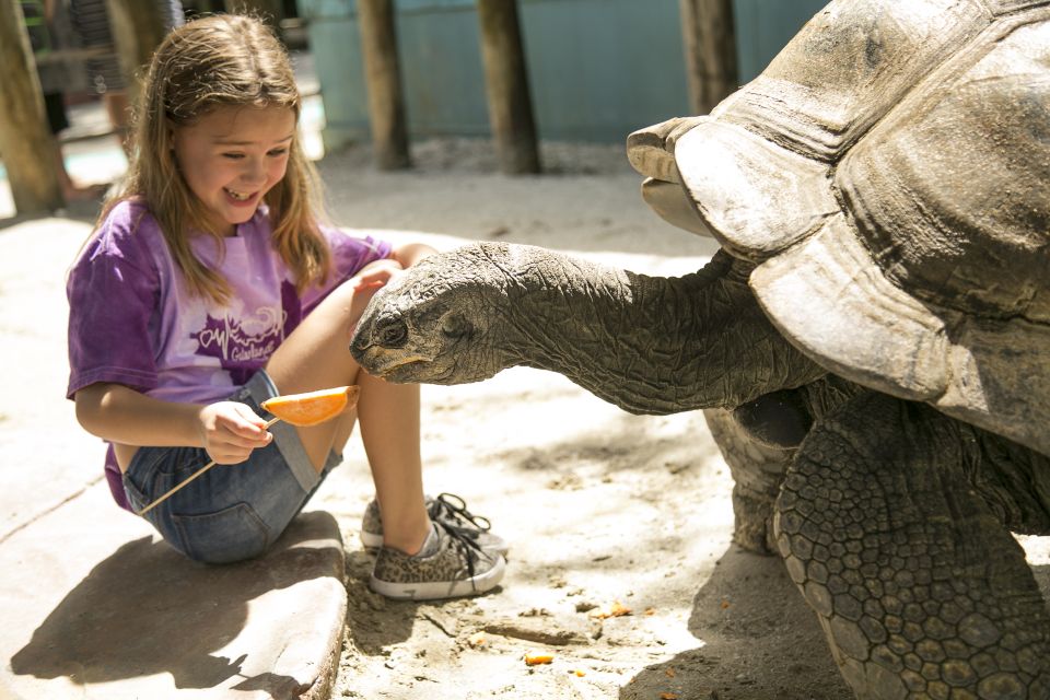 Orlando: Gatorland Skip-the-Line Ticket - Key Things to Know Before You Go