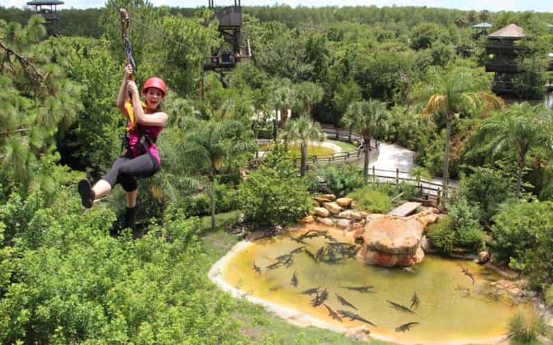 Orlando: Gatorland Zipline Adventure w/ Full-Day Park Access - All-Day Gatorland Admission After Your 90-Minute Ride