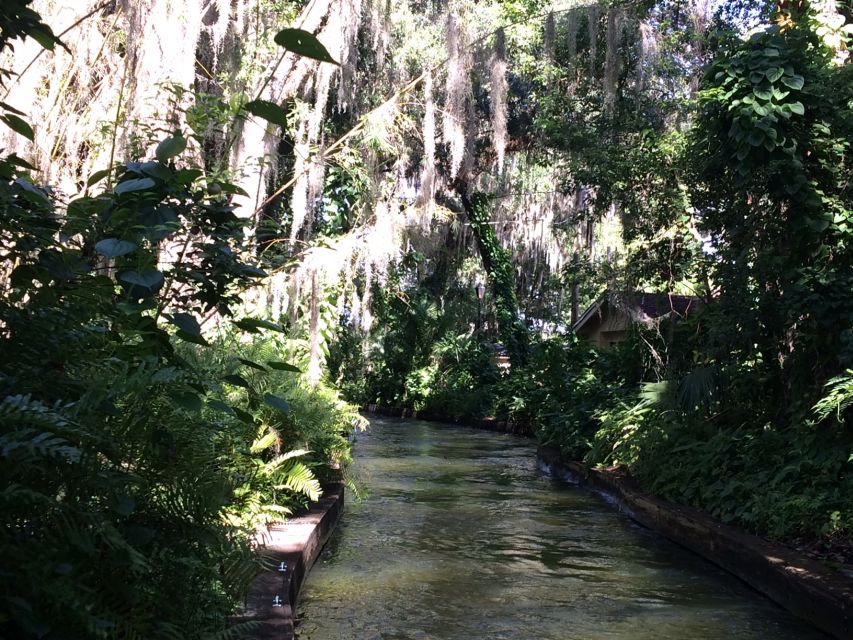 Orlando: Half-Day Sightseeing Tour + Eat & Play Savings Card - Lake Eola to ICON Park: the half-day loop that actually makes sense