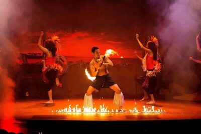Orlando Polynesian Fire Luau and Dinner Show Experience - Buffet dinner: good timing, mixed reviews, and what to expect