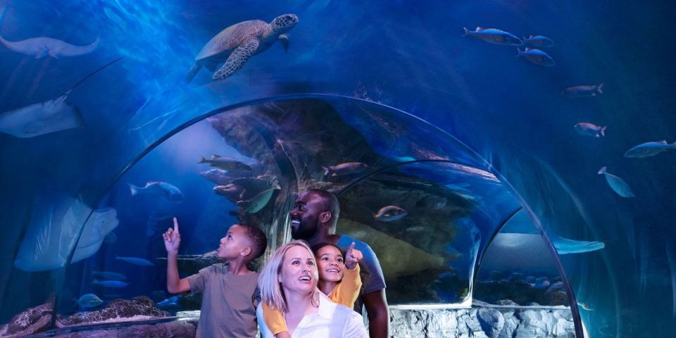 Orlando: SEA LIFE Orlando Aquarium - Ted the Loggerhead (and Chely) Plus Other Encounters You Can Time Your Day Around