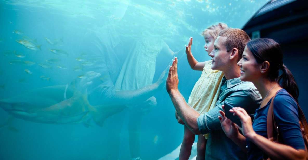 Orlando: SEA LIFE Orlando Aquarium - Optional Add-Ons: Shark VR and the Backstage Tour (What’s Included vs Not)
