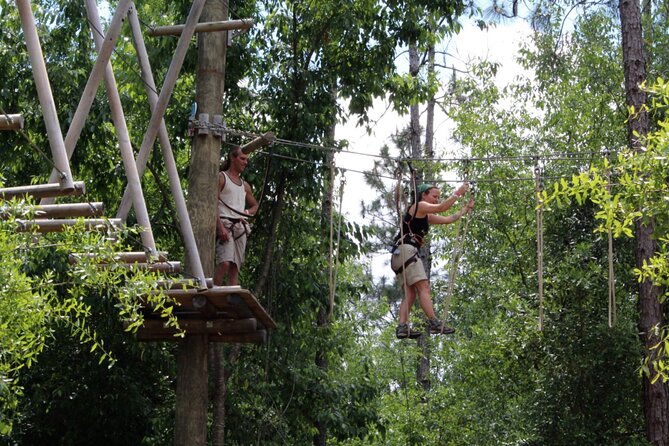 Orlando Tree Trek Adventure Park - How the Courses Work: 6 Courses and 97+ Obstacle Challenges