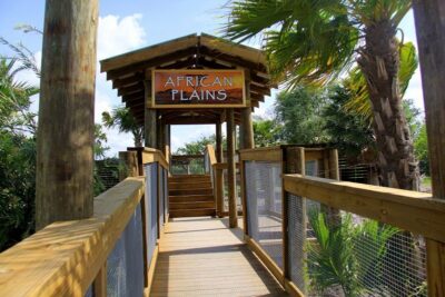 Orlando: Wild Florida Park Ticket and Gator Shows - The animal lineup: zebra, watusi, deer, buffalo, emu, and alligators