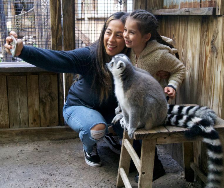 Orlando: Wild Florida Park Ticket and Gator Shows - Hawk Swamp boardwalk and the 500-foot dock: the Florida nature break