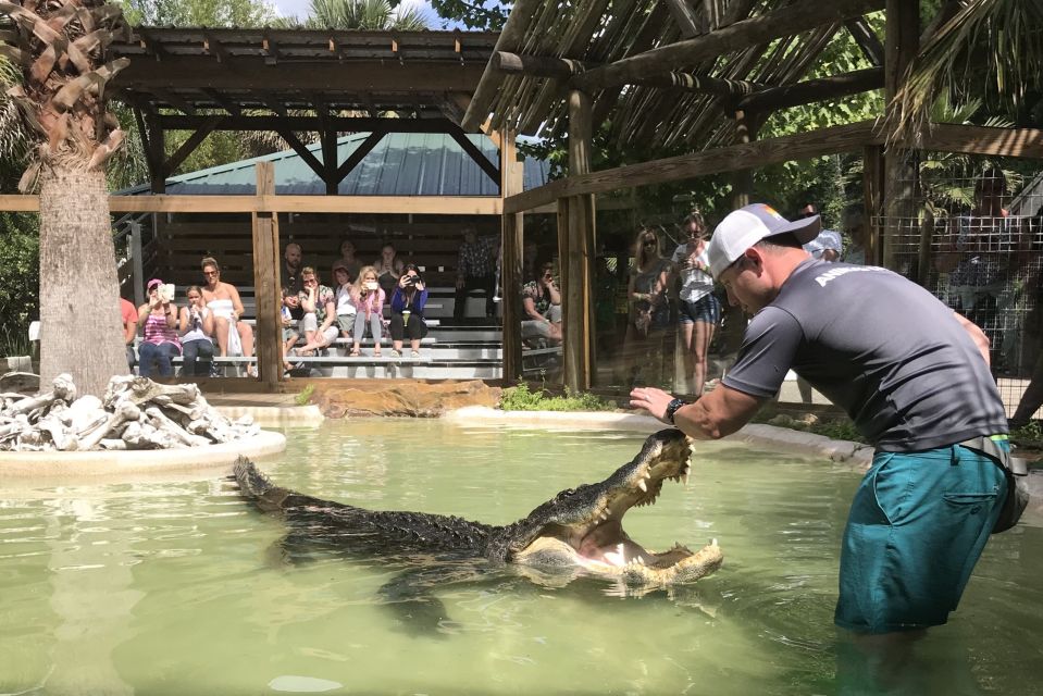 Orlando: Wild Florida Park Ticket and Gator Shows - Tropical bird aviary: color, movement, and easy family viewing