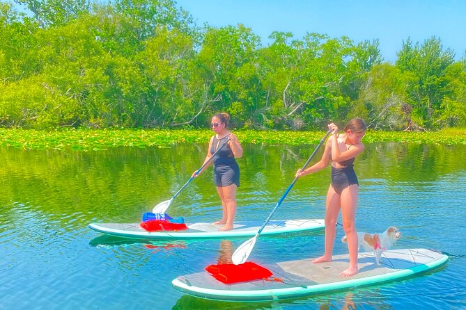 Paddle with Pups in Paradise - Paddleboard or Kayak - Paddleboarding or Kayaking With Your Dog in Orlando
