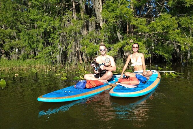 Paddle with Pups in Paradise - Paddleboard or Kayak - Your Dog’s Role: Vests, Comfort, and Shared Paddling Moments