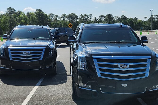 Port Canaveral Cruise Transfer to and from Orlando Intl Airport - Family extras: car seats and kid-friendly surprises (when available)