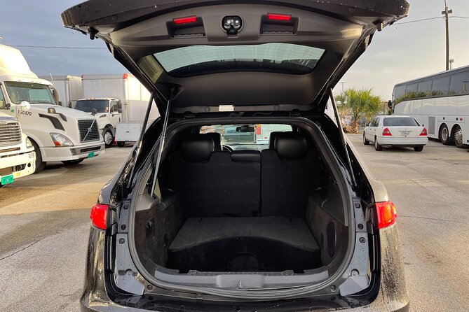 Port Canaveral to Orlando Airport MCO Luxury Sedan - What Happens Right After Your Cruise: Terminal Timing and Luggage Help