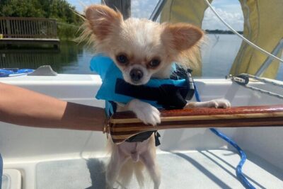 Private 2-Hour Day Sailing Experience - Getting on board at 2200 Lee Rd: the trip starts simple