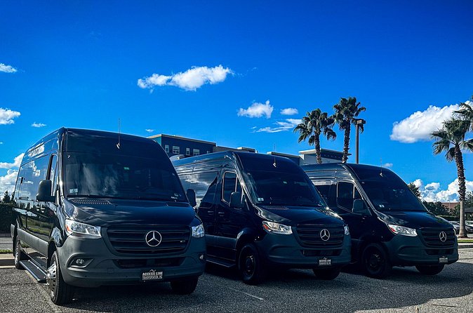 Private service, Airport, Hotels to Port Canaveral terminals. - Should You Book Access Line Transportation?