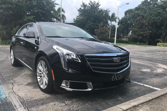 Private Transfer: Orlando Airport MCO to Lake Buena Vista Hotels - Key Things You’ll Really Notice