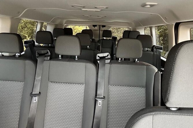Private Transfer Orlando (MCO) Lake Buena Vista Hotels - Luggage and real-world airport gear