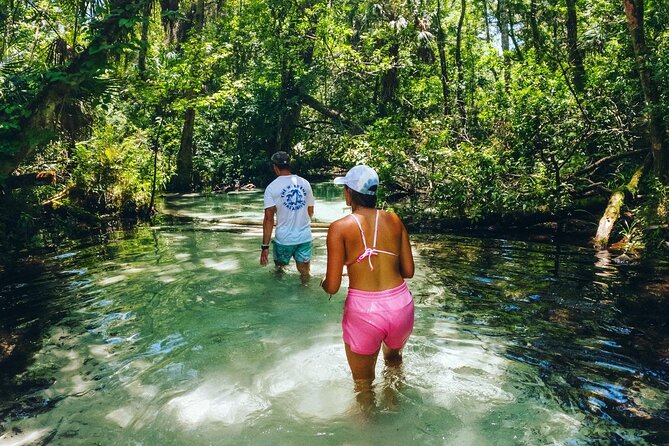 Rainbow Springs: Clear Kayak & Snorkel Eco Tour - Wildlife spotting on Rainbow River: what you can reasonably expect