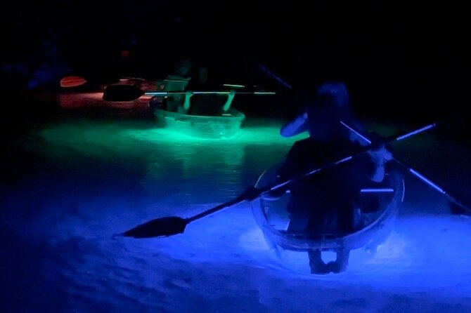 Rainbow Springs: Clear Kayak Sunset & Glow Tour - Switching on the glow lights: what changes once it gets dark