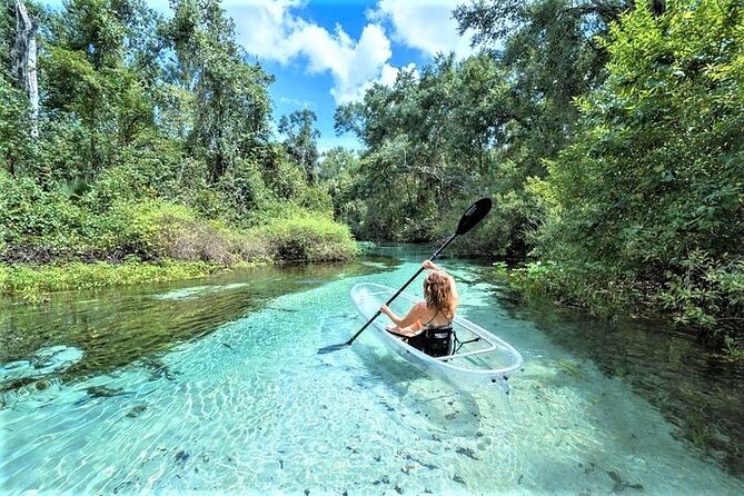 Rock Springs 2-Hour Glass Bottom Guided Kayak Eco Tour - Rock Springs Emerald Cut in a Clear Kayak: The Big Idea