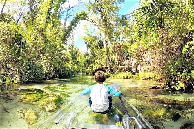 Rock Springs 2-Hour Glass Bottom Guided Kayak Eco Tour - Group Size and Pacing: Why Up To 10 People Matters