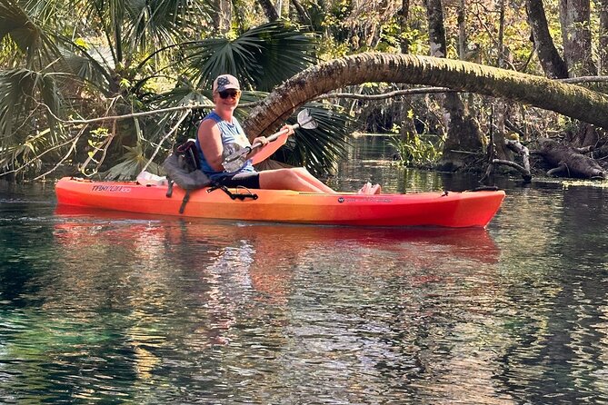 Sassy Silver Springs Kayak and Paddle Rental - Where You Meet and How the Day Flows