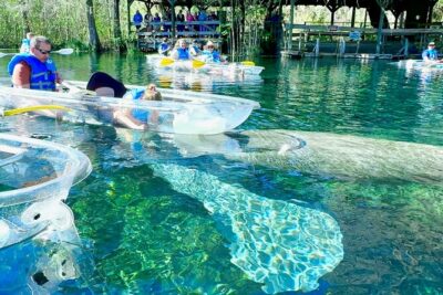Sassy’s Silver Springs Kayak and Paddleboard Tours - Gear Included Means You Can Travel Lighter