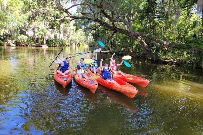 Scenic Half-Day Kayak or Paddleboard Rental – Dora Canal - Dora Canal from Downtown Tavares: Why This Paddle Feels Easy