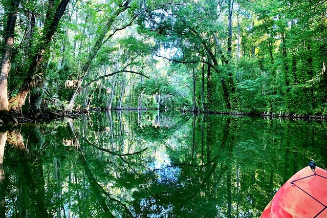Scenic Half-Day Kayak or Paddleboard Rental – Dora Canal - The Four Hours on the Water: Lake Dora and Wooton Park