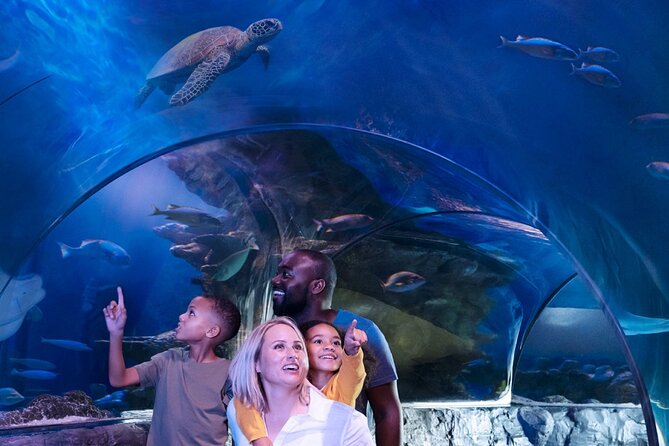 SEA LIFE Orlando Aquarium Admission Ticket at ICON Park - Feedings and demos: when they happen and how to plan around them