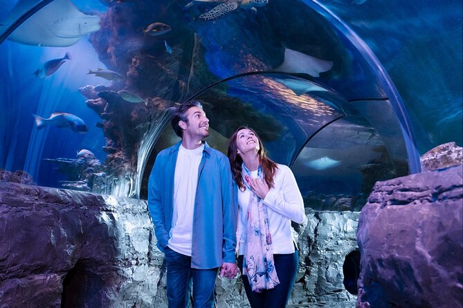 SEA LIFE Orlando Aquarium Admission Ticket at ICON Park - Madame Tussauds and The Orlando Eye upgrades at ICON Park