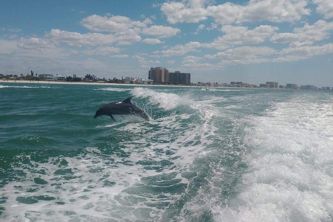 Sea Screamer Boat Cruise in Clearwater Beach with Transport - Who should book this Sea Screamer day trip