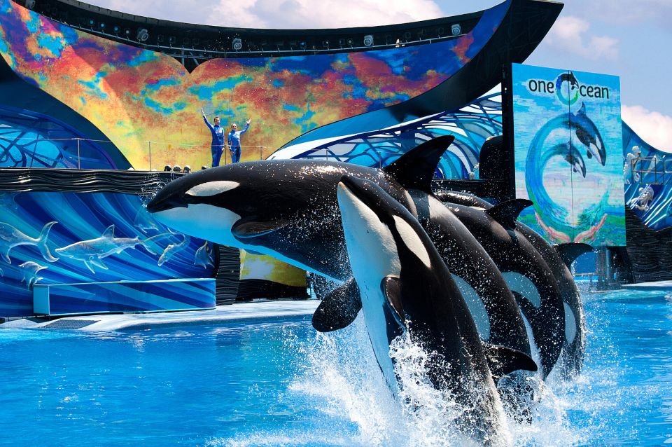 SeaWorld Orlando: Park Admission Ticket - How I’d Decide If You Should Choose SeaWorld Over Another Orlando Day