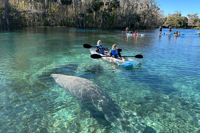 Silver Springs Clear Kayak Manatee, Monkey & Wildlife Adventures - Price and Value: Is $80 a Good Deal for Silver Springs?