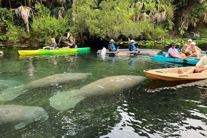 Silver Springs Clear Kayak Manatee, Monkey & Wildlife Adventures - Day-Trip Bonus: What to Do at Silver Springs After the Paddle