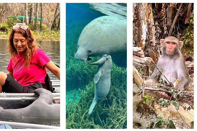 Silver Springs Clear Kayak Manatee, Monkey & Wildlife Adventures - Wildlife Watching That Feels Intentional (Not Random)