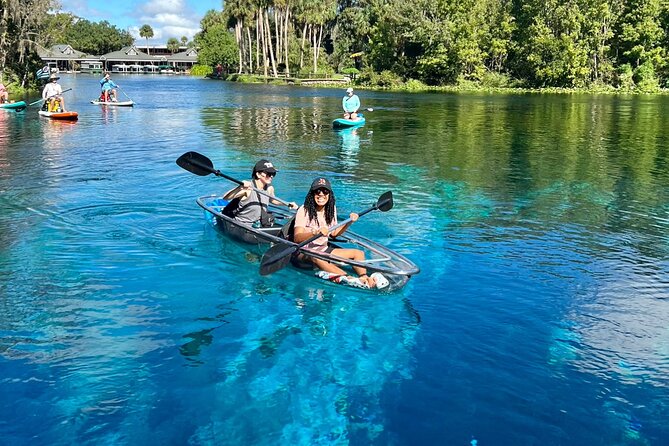 Silver Springs: Clear Kayaking Wildlife Tour - Clear Kayaking on the Silver River: Why the Visibility Changes Everything