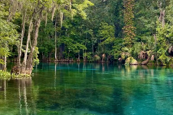Silver Springs: Clear Kayaking Wildlife Tour - Photos and Video Chances: How to Get Keepsakes Without Stress