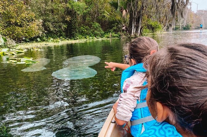 Silver Springs - Glass Bottom Kayak Rental - 2 hours vs 4 hours: choosing the right amount of time
