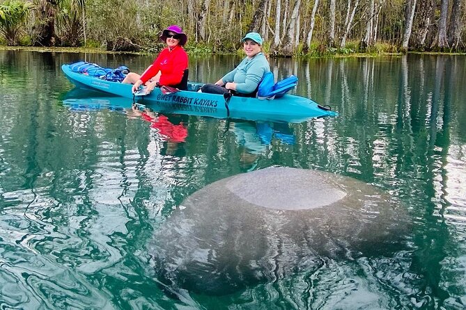 Silver Springs Glass Bottom Kayak Tour - Getting there and what to bring from the meeting point