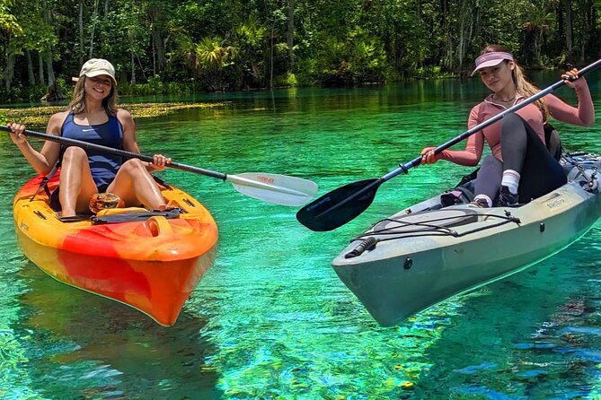 Silver Springs Jungle Kayaking and Paddleboarding - Silver Springs Canals: The Manatee Story You Can Actually Paddle