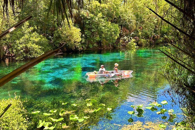 Silver Springs Jungle Kayaking and Paddleboarding - Stop-by-Stop: Silver Springs to the River and Back