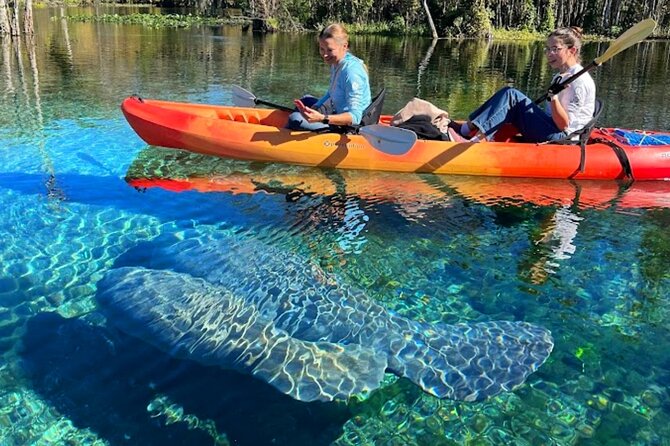 Silver Springs Jungle Kayaking and Paddleboarding - Rain, Rescheduling, and When to Plan for a Different Day
