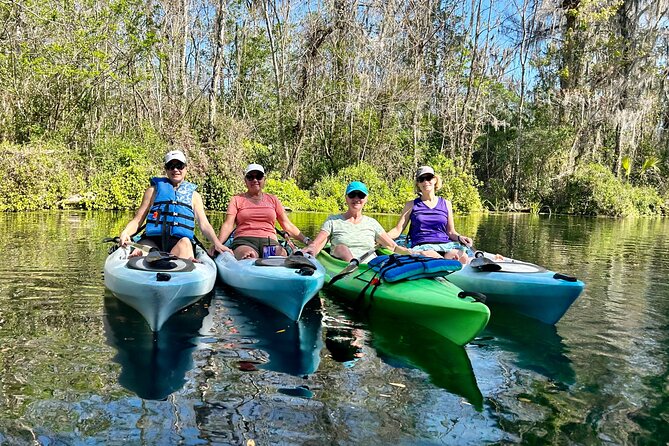 Silver Springs Kayak Rental - The Best Florida Adventure - Wildlife expectations: how to watch for manatees and monkeys