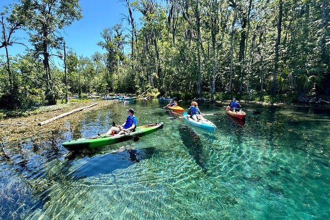 Silver Springs Kayak Rental - The Best Florida Adventure - Kayak types and stability: why the boats make the trip easier