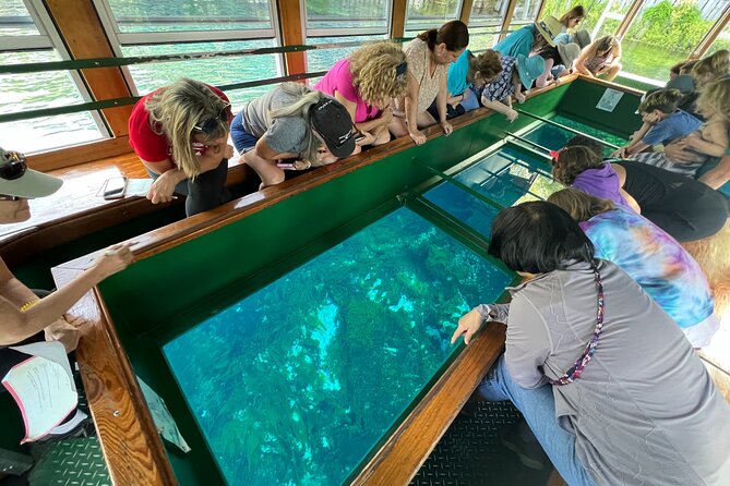 Silver Springs Manatee Kayak, Glass Boat Small Group Max 14 Tour - Key Things to Know Before You Go