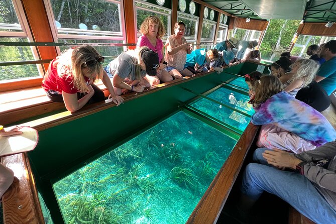 Silver Springs Manatee Kayak, Glass Boat Small Group Max 14 Tour - Glass Bottom Boat: The Easiest Way to See Underwater Formations