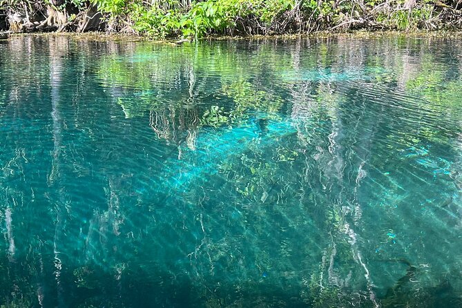 Silver Springs Manatee Kayak, Glass Boat Small Group Max 14 Tour - Manatee Kayak and Paddle Options: Up Close on the Silver River
