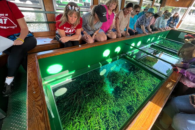 Silver Springs Manatee Kayak, Glass Boat Small Group Max 14 Tour - Small-Group Comfort and Your Guide on the Ground